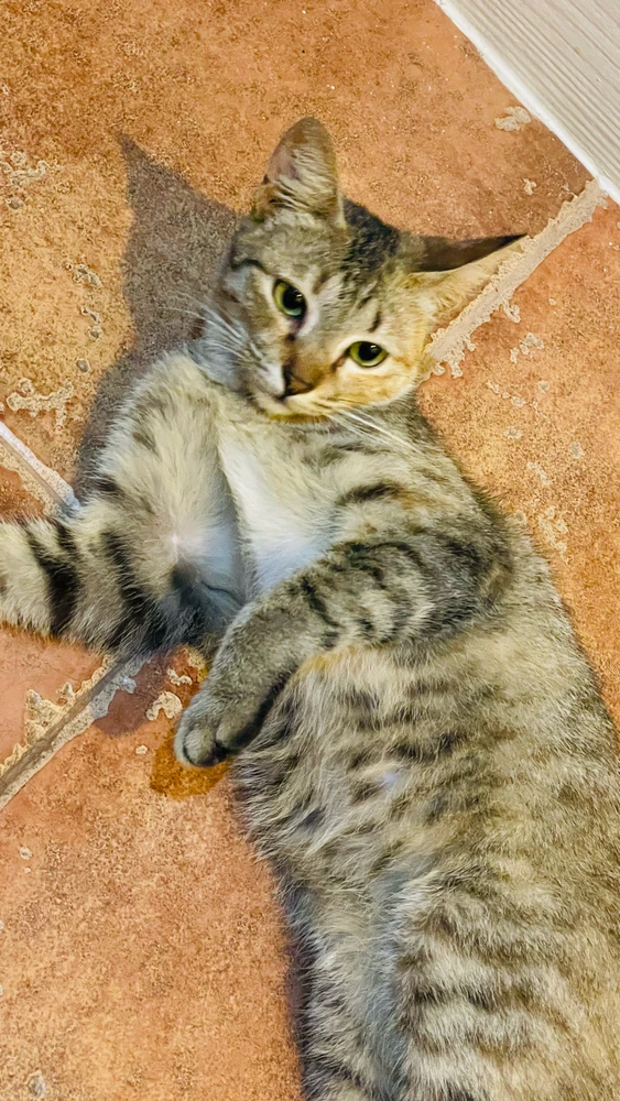 GIF uploaded by May