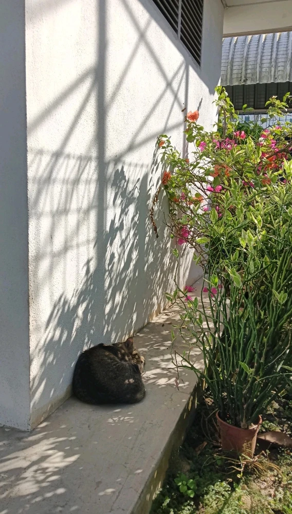 GIF uploaded by Savi