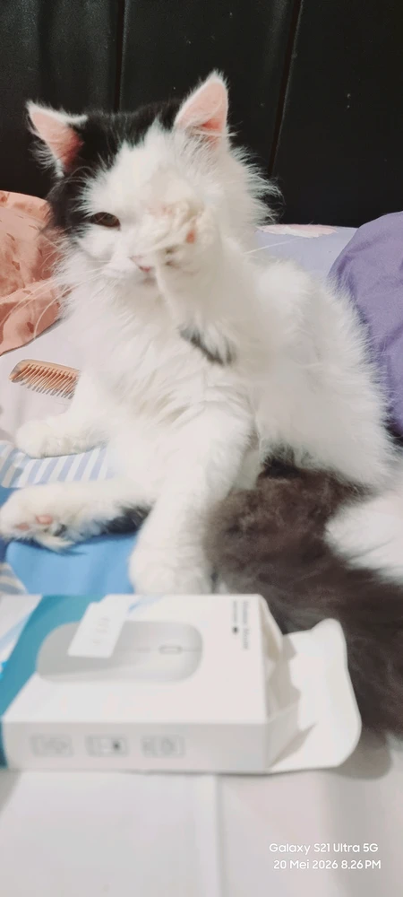 Image uploaded by Diyan