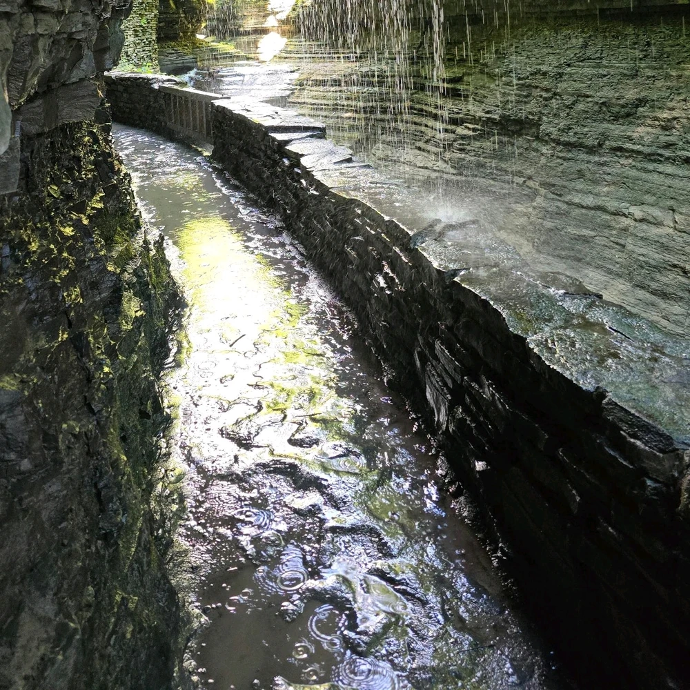 Image uploaded by Nicholas Morris