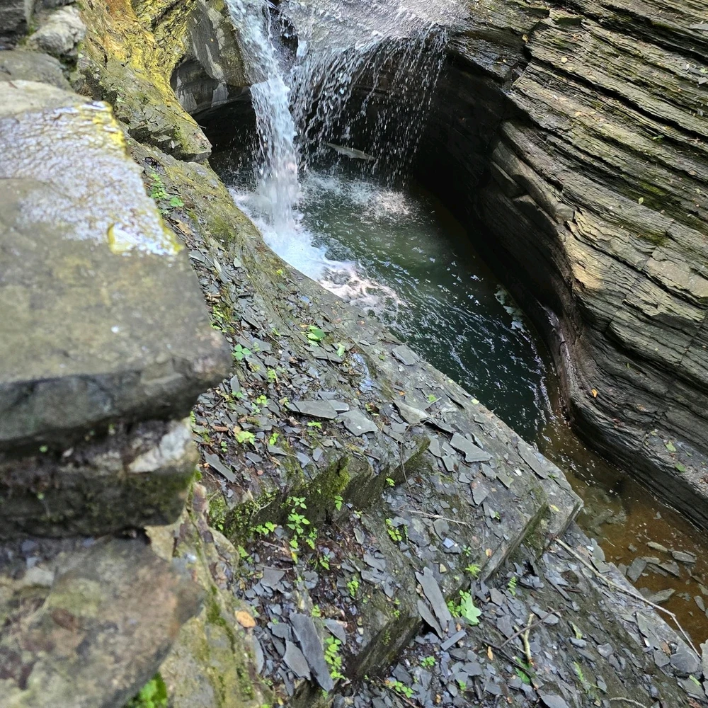 Image uploaded by Nicholas Morris