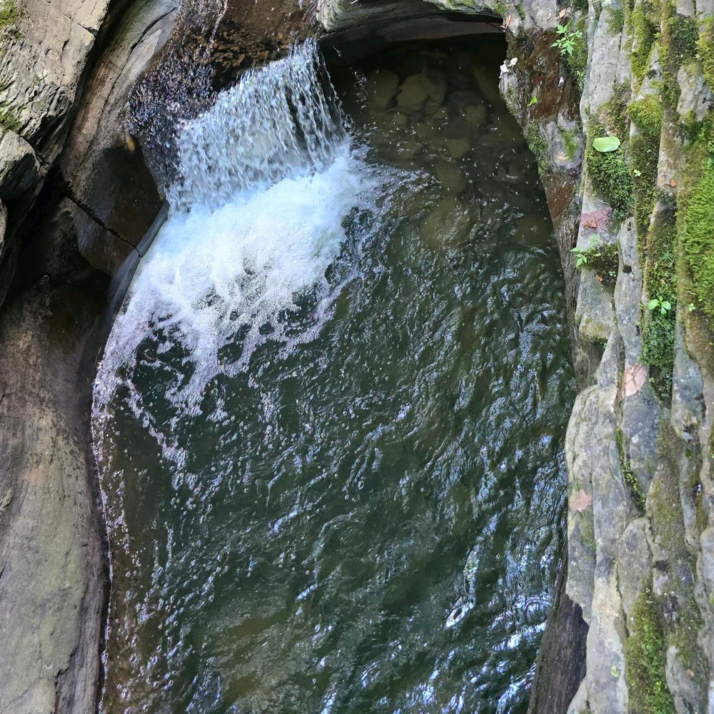 Image uploaded by Nicholas Morris