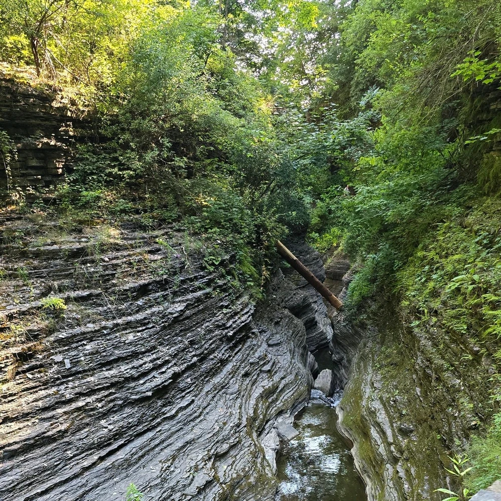 Image uploaded by Nicholas Morris