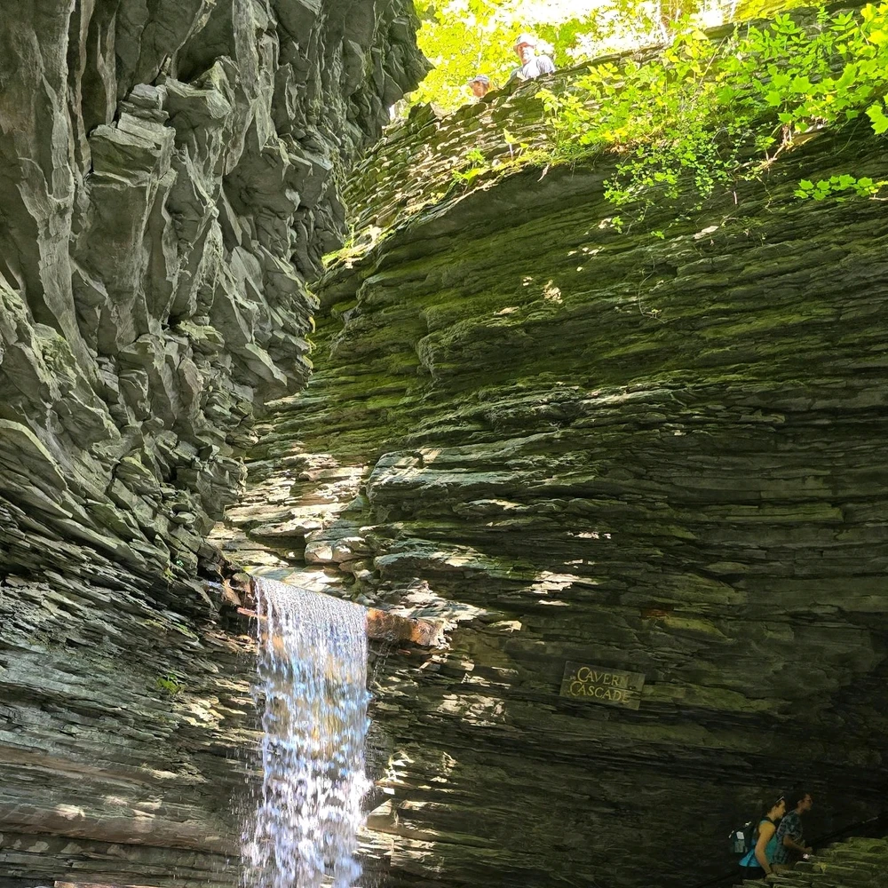 Image uploaded by Nicholas Morris