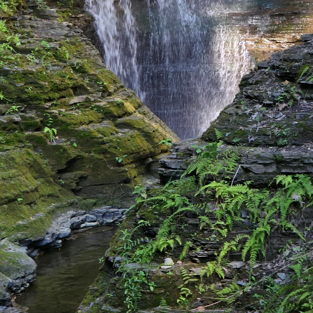 Image uploaded by Nicholas Morris