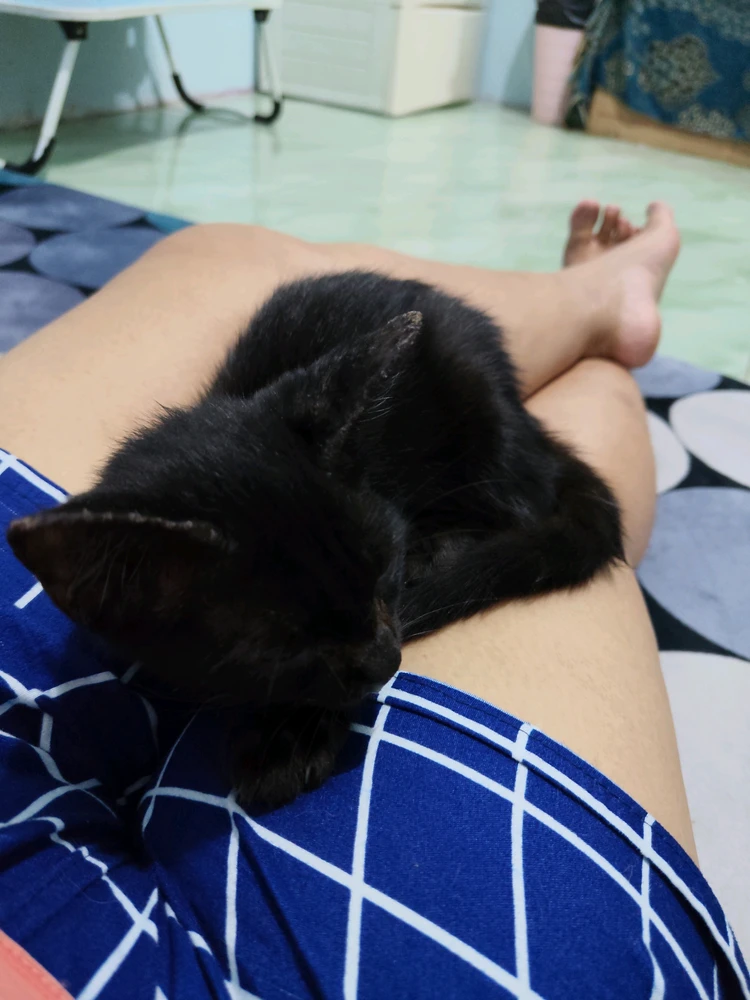GIF uploaded by CHeeKy ORyZa