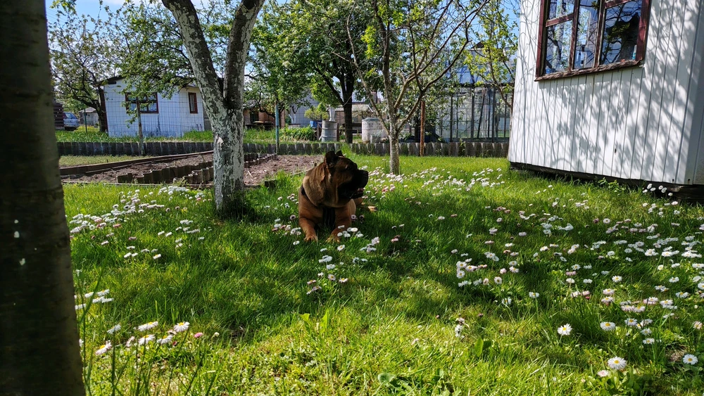 GIF uploaded by Aleks
