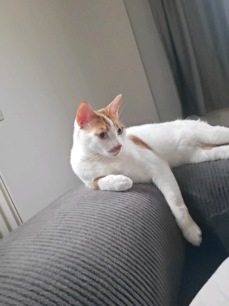 GIF uploaded by Emin