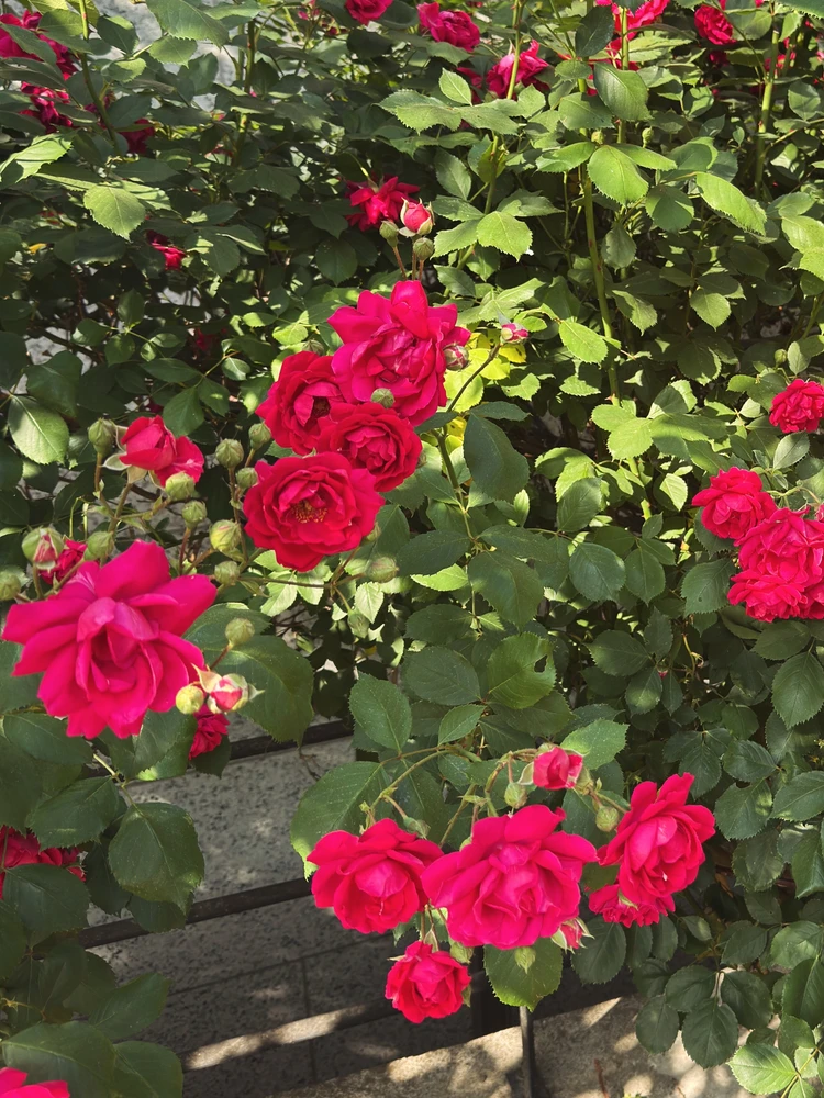GIF uploaded by Suraj