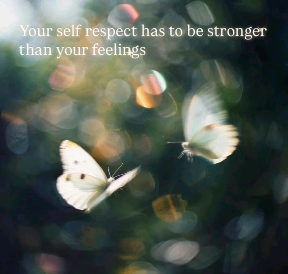 GIF uploaded by Moonie