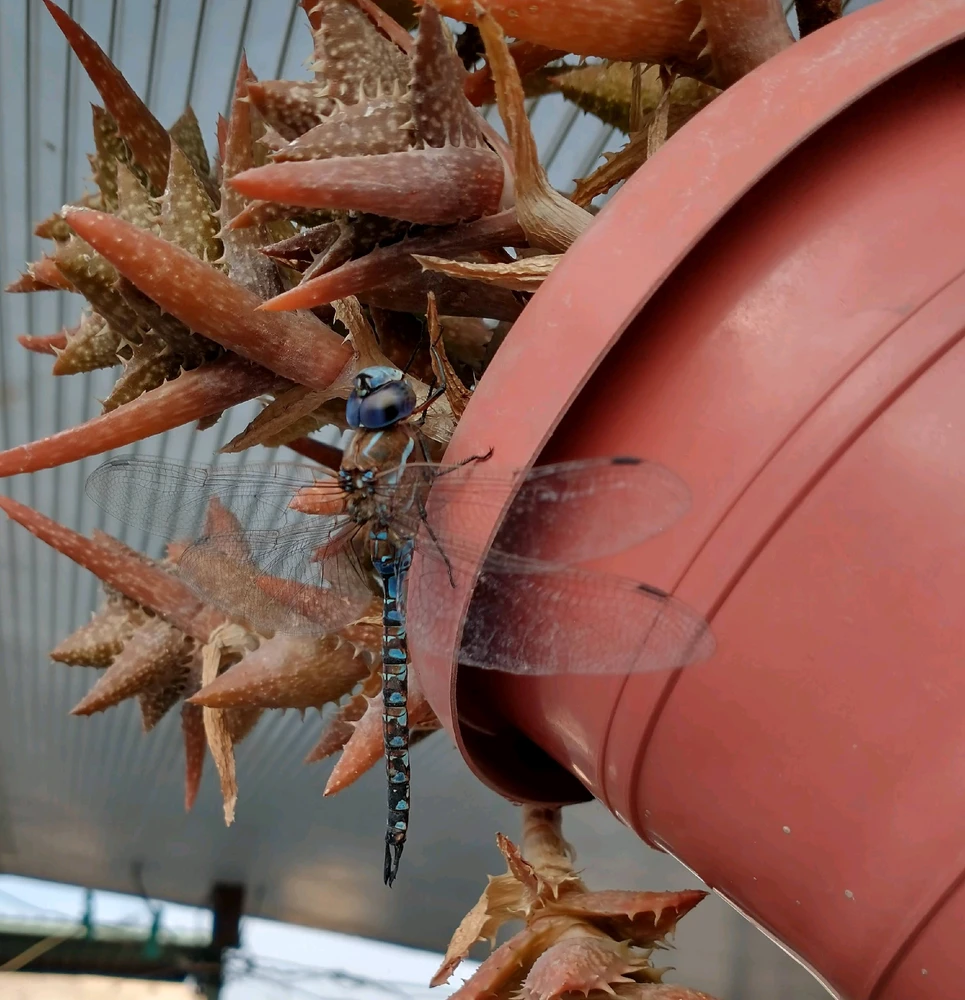 GIF subido por Michel