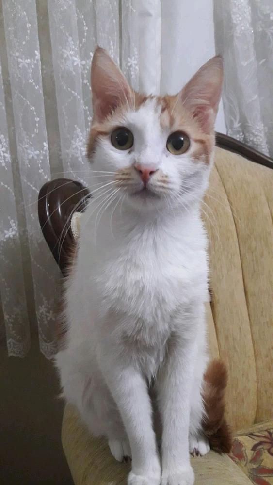 Kerim tarafından yüklenen GIF