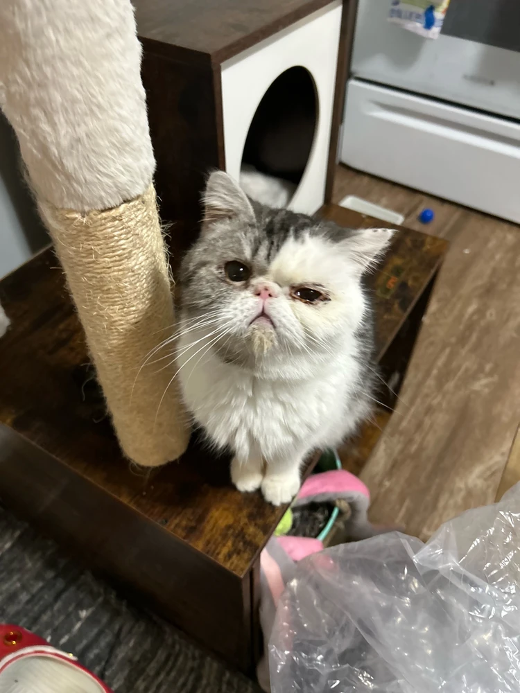 Image uploaded by Athena