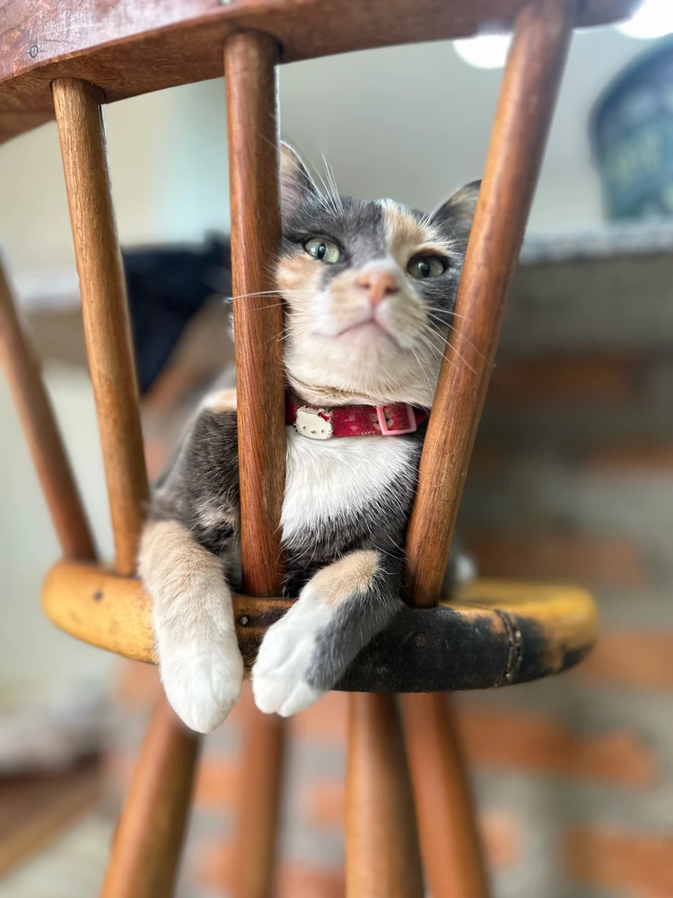 GIF uploaded by Jackeline