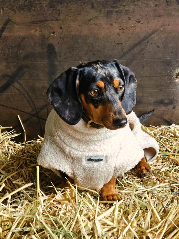 GIF uploaded by Rhi
