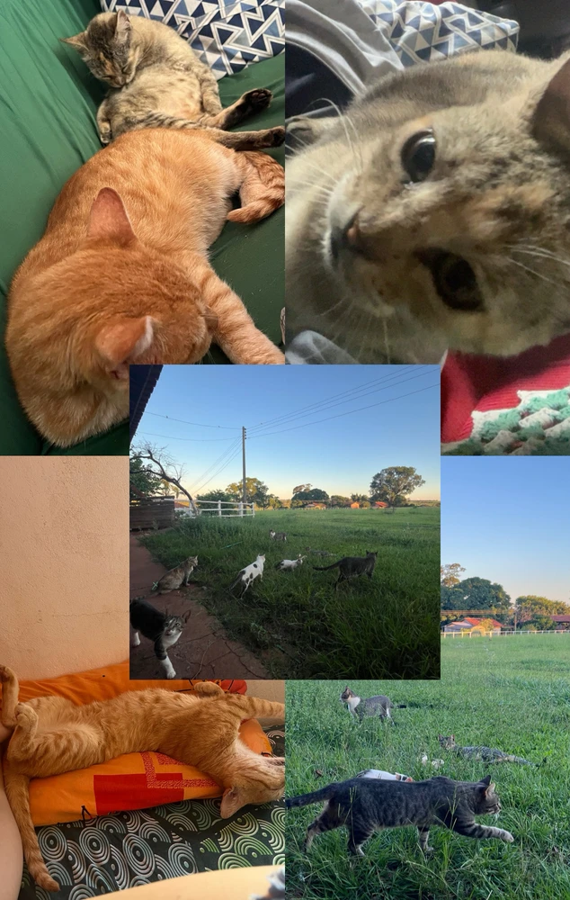 GIF uploaded by Ana Laura