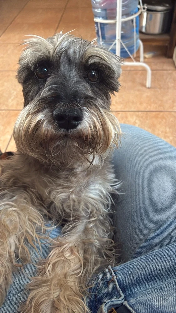 GIF uploaded by Gabriela