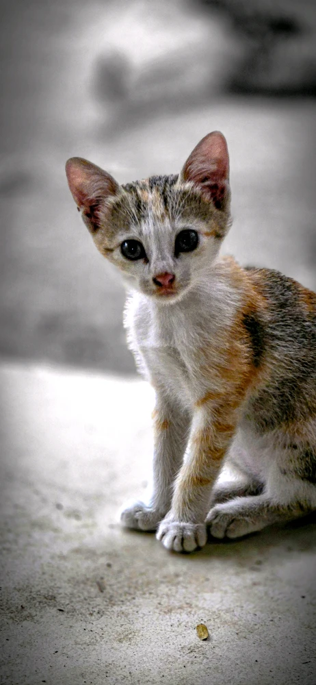 GIF uploaded by AJH