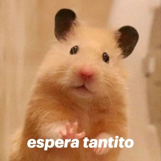 Imagen subida por Zafiro