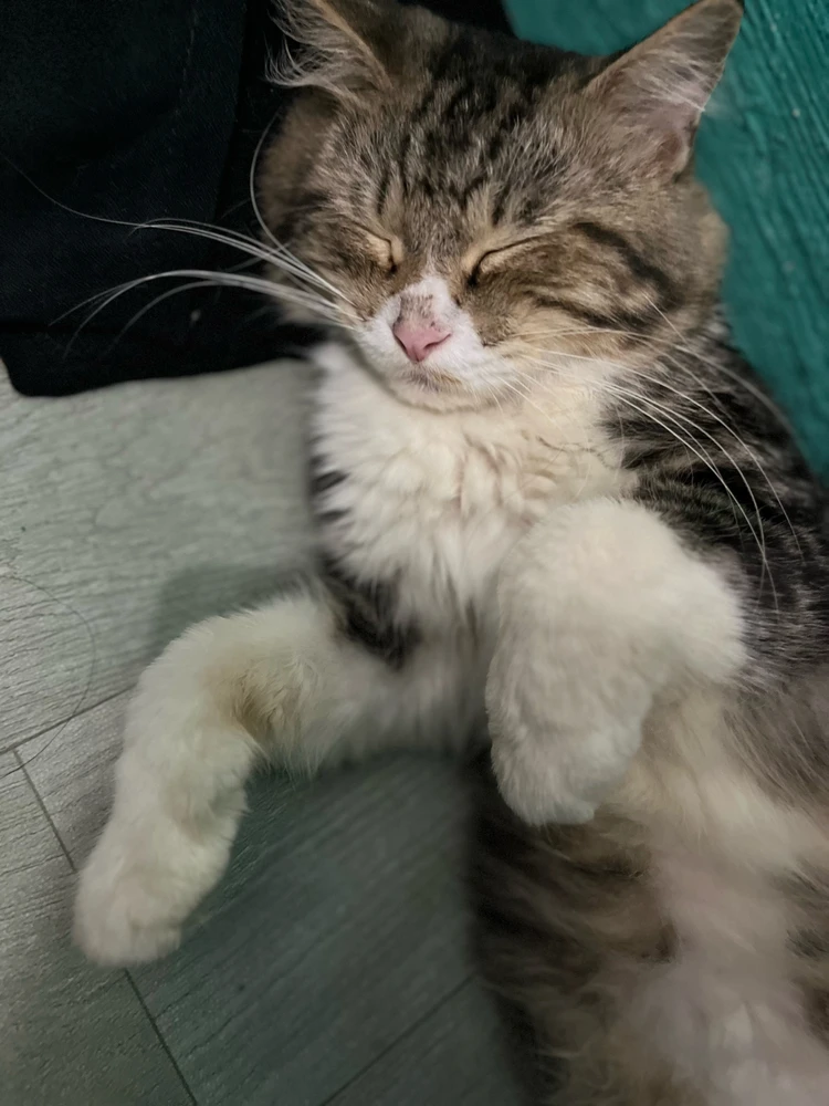 GIF uploaded by Hei