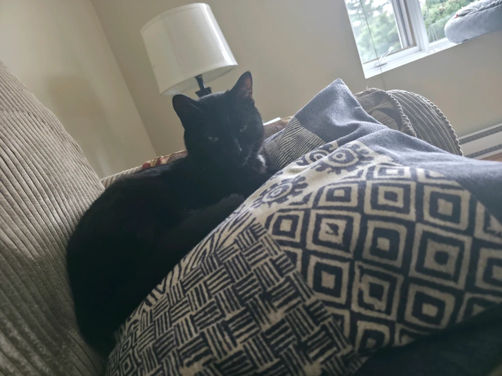 GIF uploaded by M