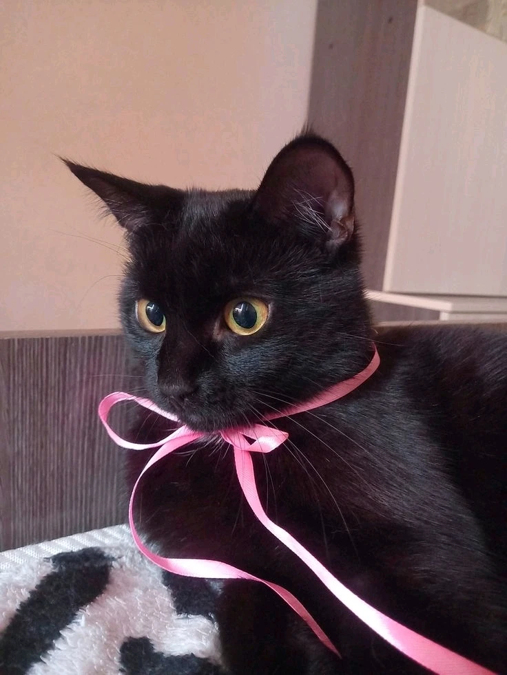GIF uploaded by Kristel