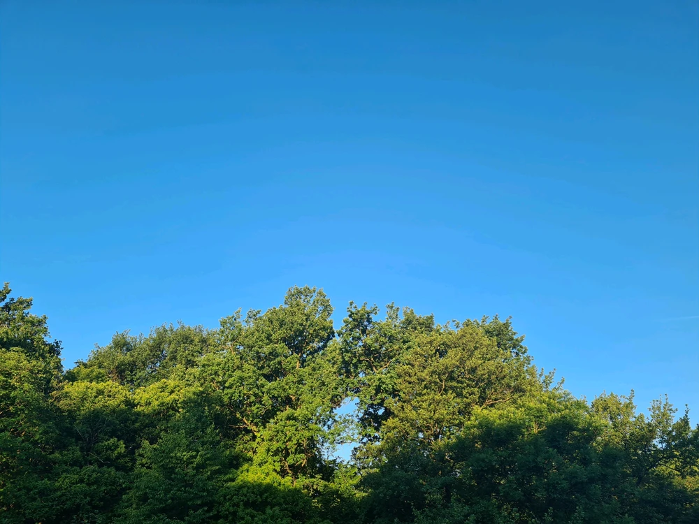 GIF uploaded by Gabrio aka Milord