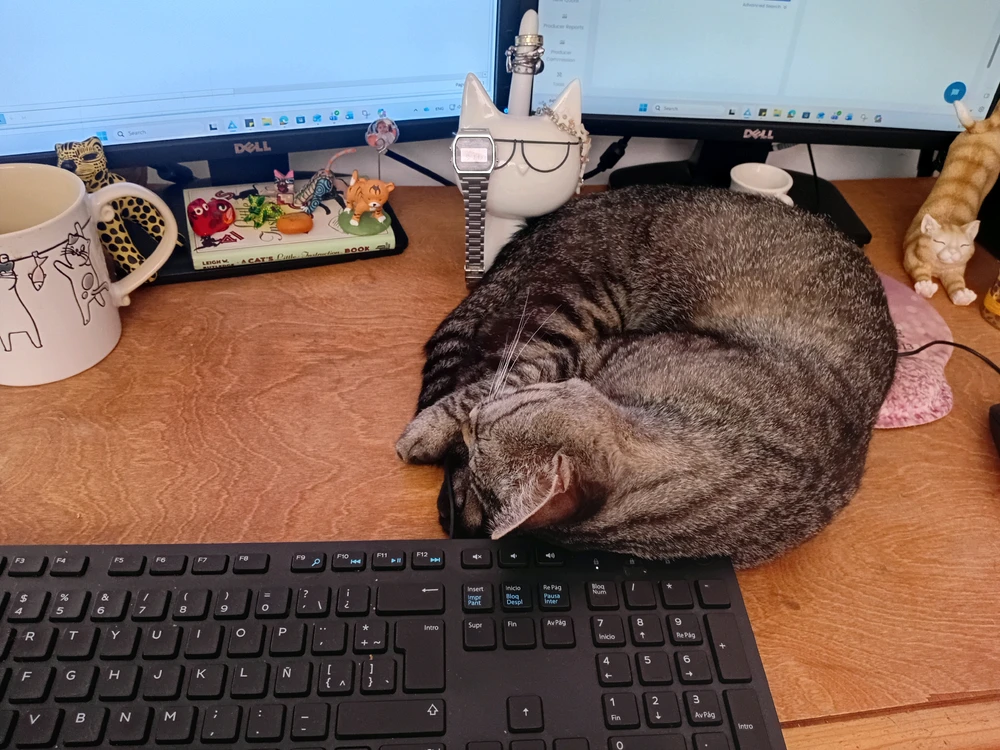 GIF uploaded by Laura