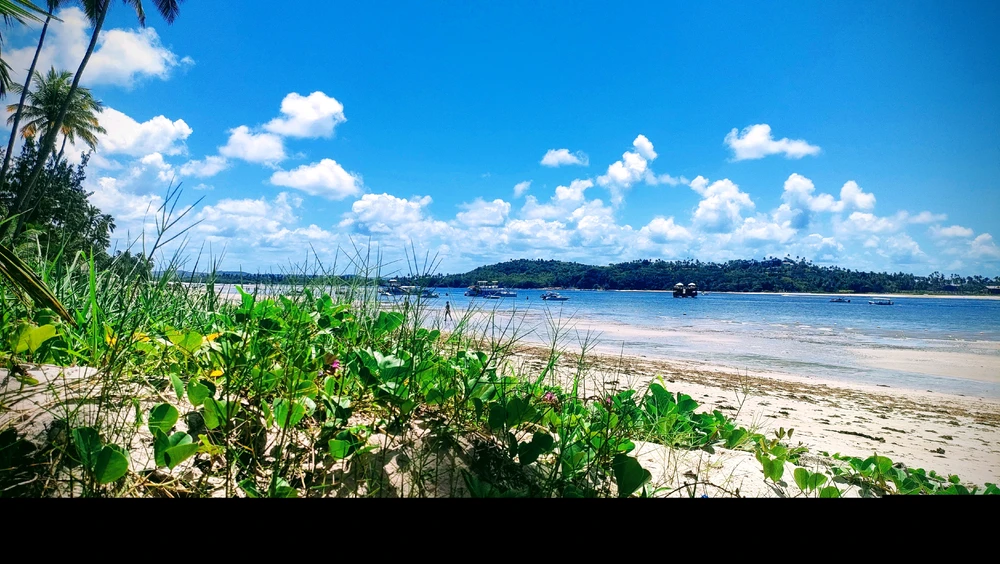 GIF uploaded by Carolina