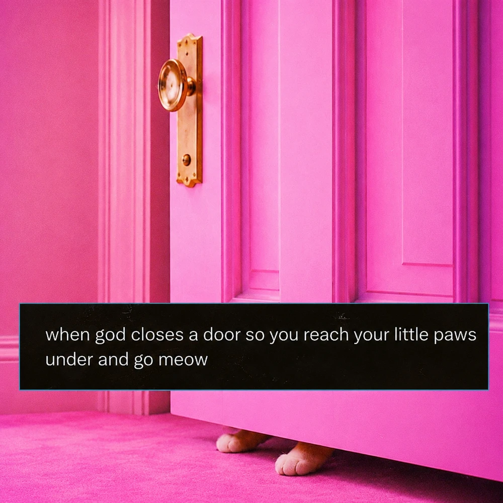 GIF uploaded by β³πΎπΉππΎππ½π
