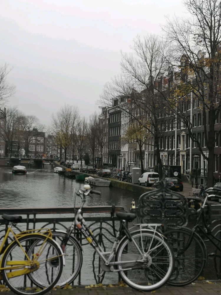 GIF uploaded by Bonnie