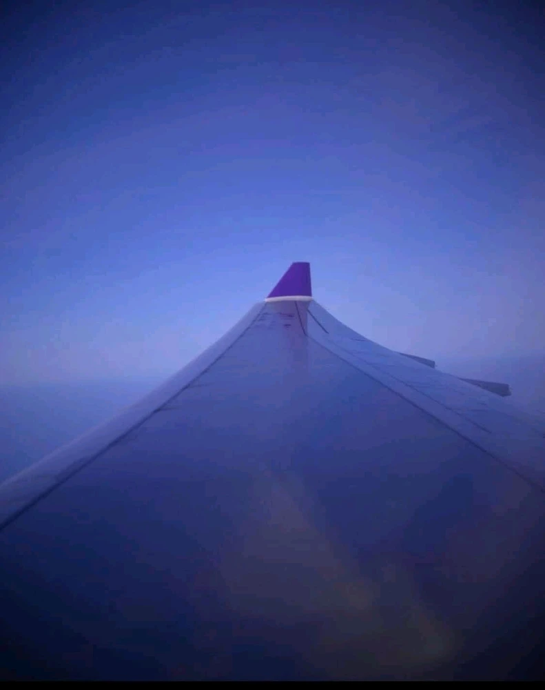 GIF uploaded by S