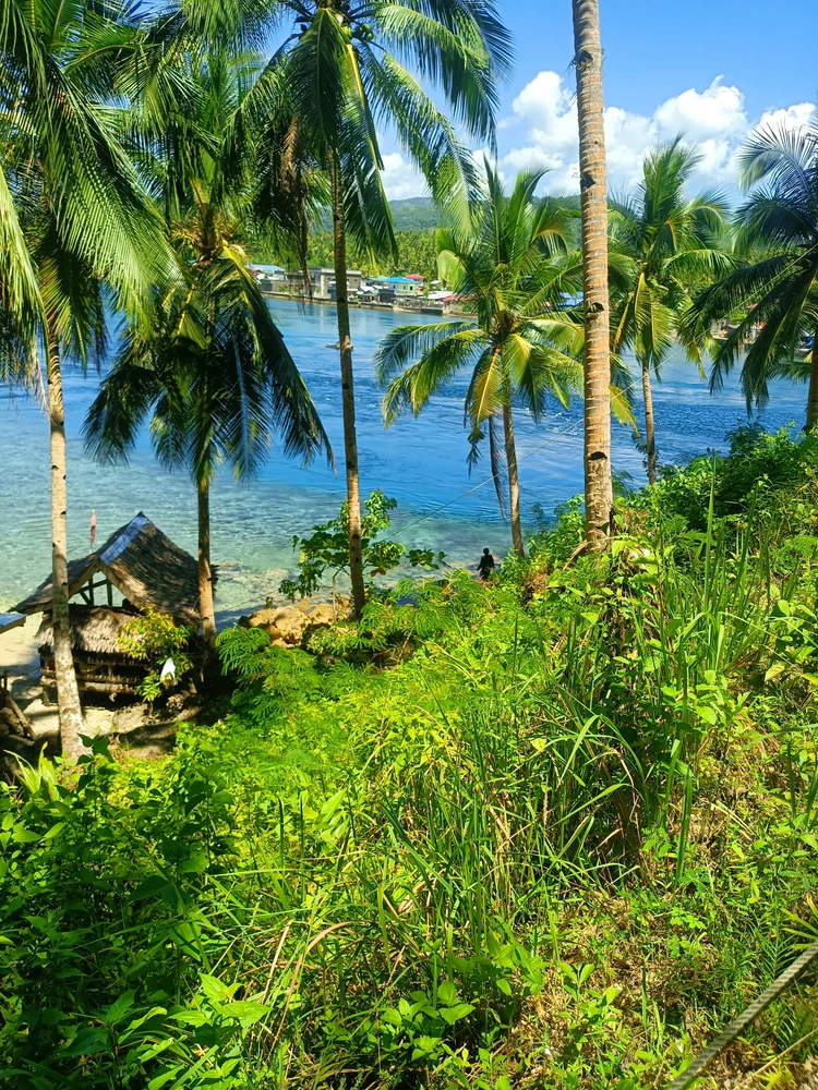 Image uploaded by Khent