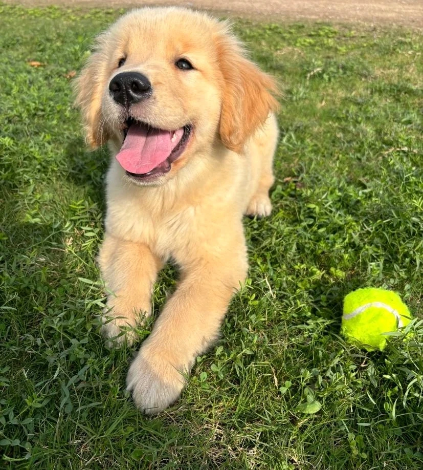 GIF uploaded by Lysandra