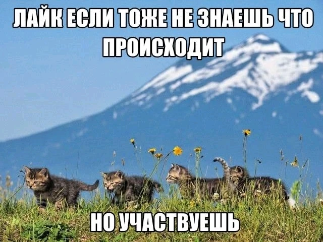 GIF загрузил Nasty