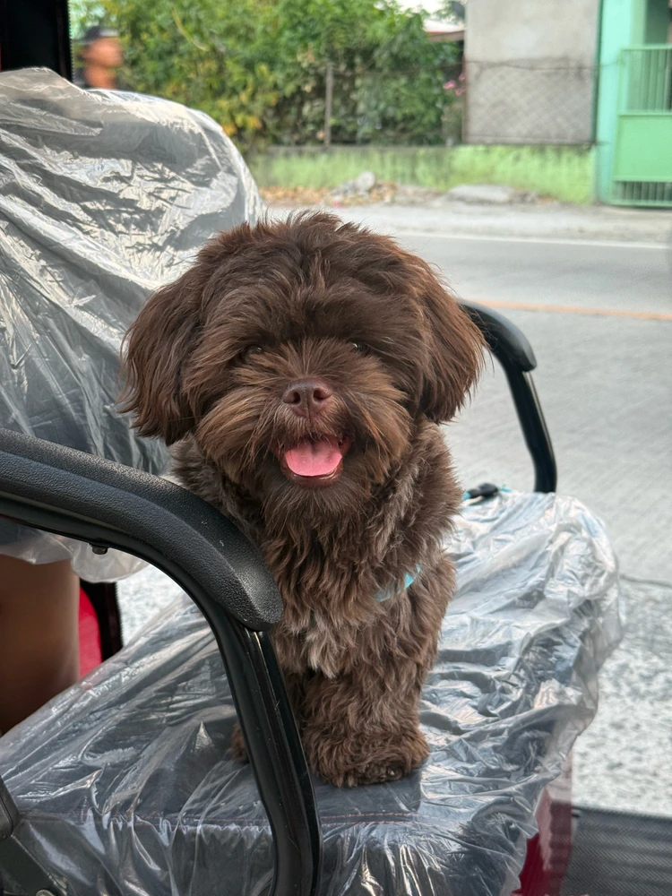 GIF uploaded by Mich