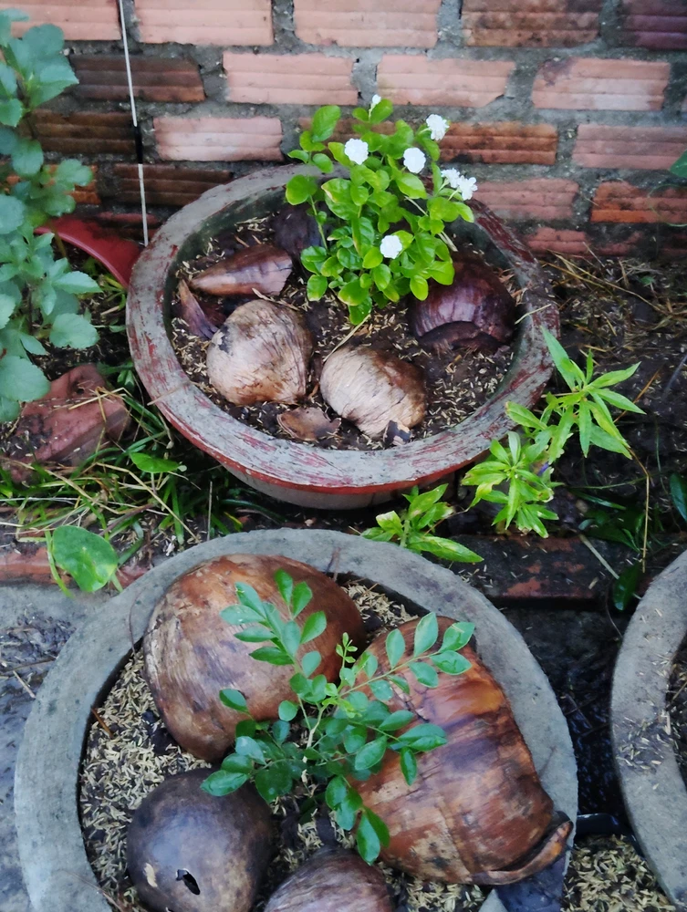 Ảnh do Danh tải lên