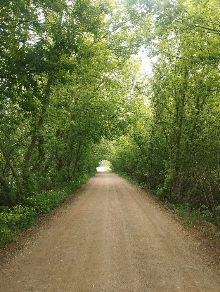 GIF uploaded by Paweł
