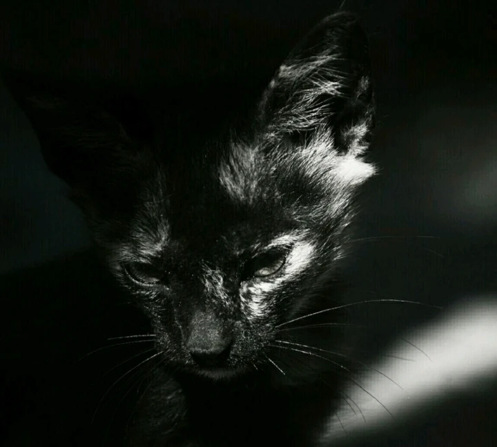 GIF uploaded by Sotiris