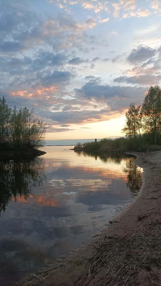 Image uploaded by renne
