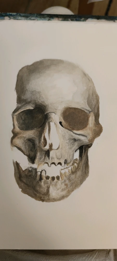 Image uploaded by Dominik