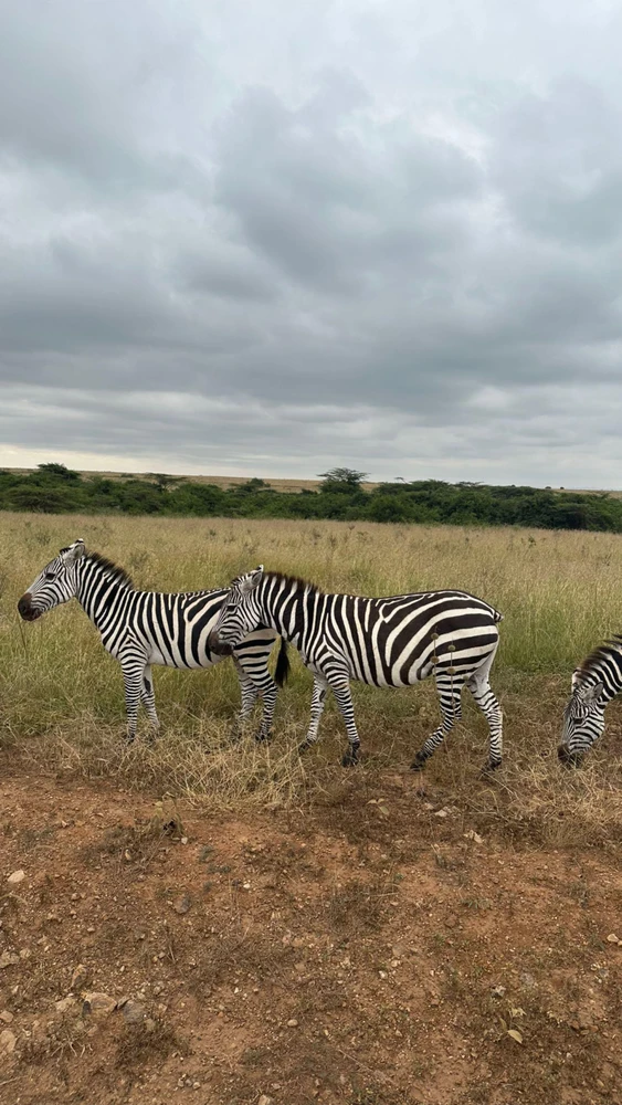 GIF uploaded by Dianne F