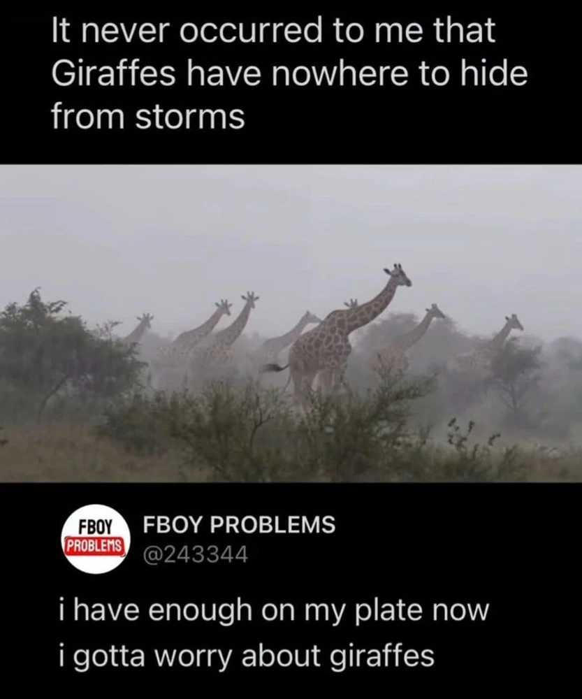 GIF uploaded by bellissima