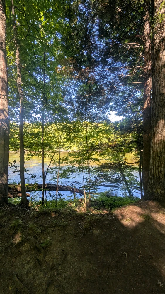 Image uploaded by Colyn