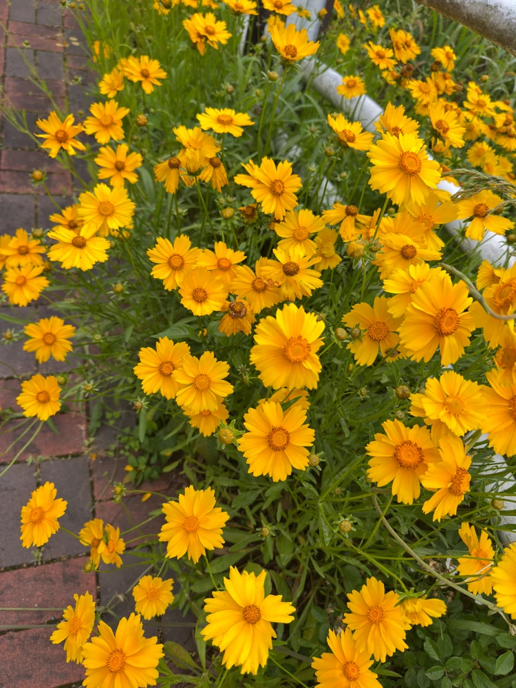 GIF uploaded by Suraj