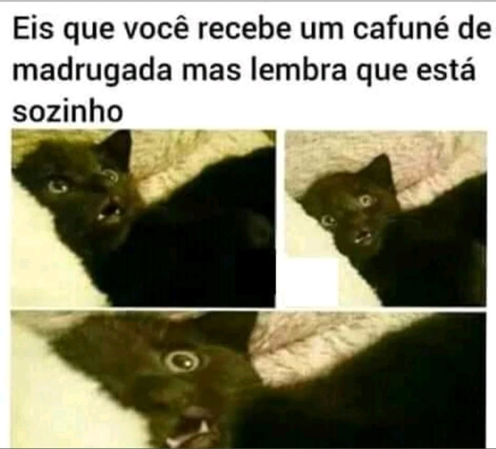 GIF enviado por Cinthia