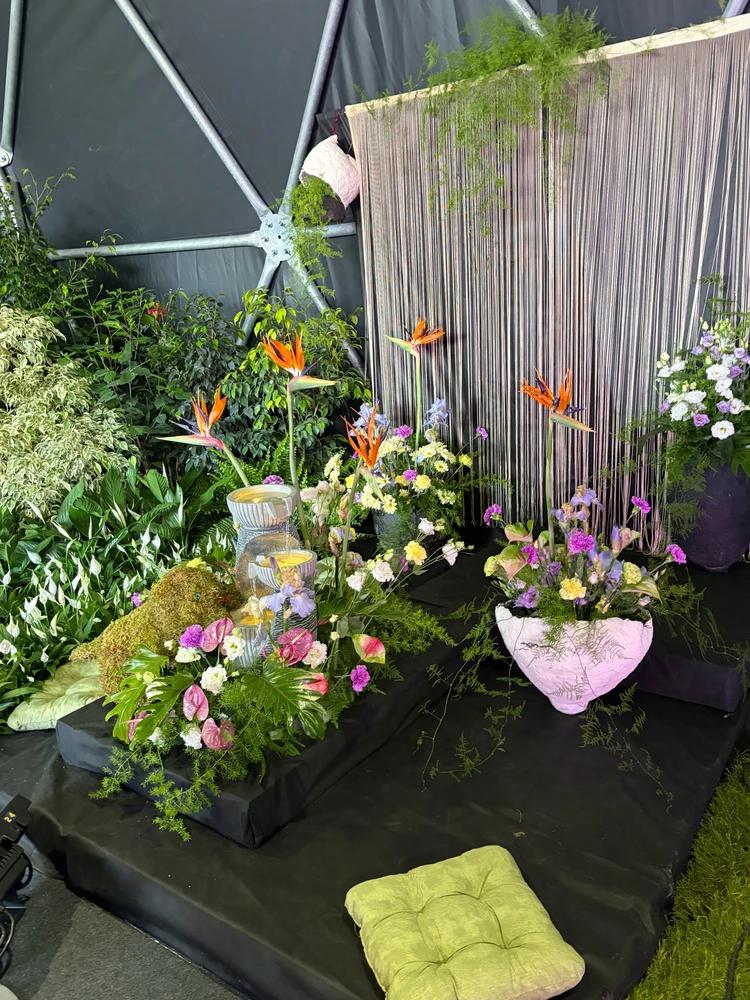 Image uploaded by L
