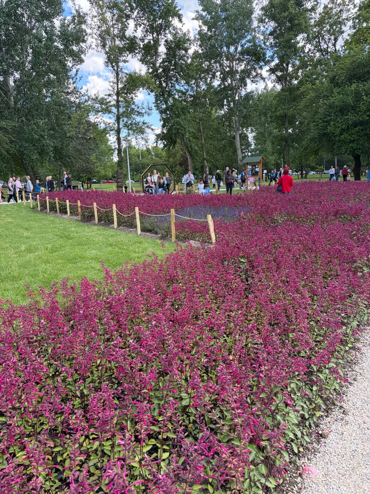 Image uploaded by L