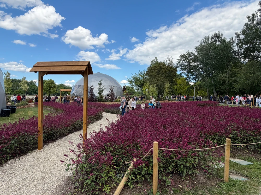 Image uploaded by L