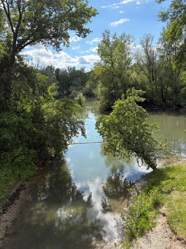 Image uploaded by L